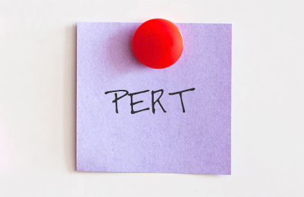 PERT: Program Evaluation and Review Technique 