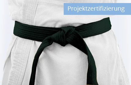 Projektzertifizierung Lean Six Sigma – Black Belt