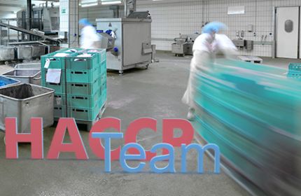 HACCP-Teamleiter Online-Seminar