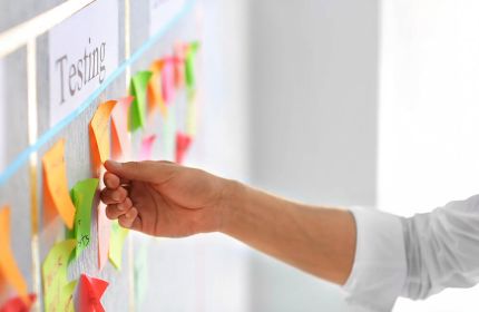 Professional Scrum Master Seminar